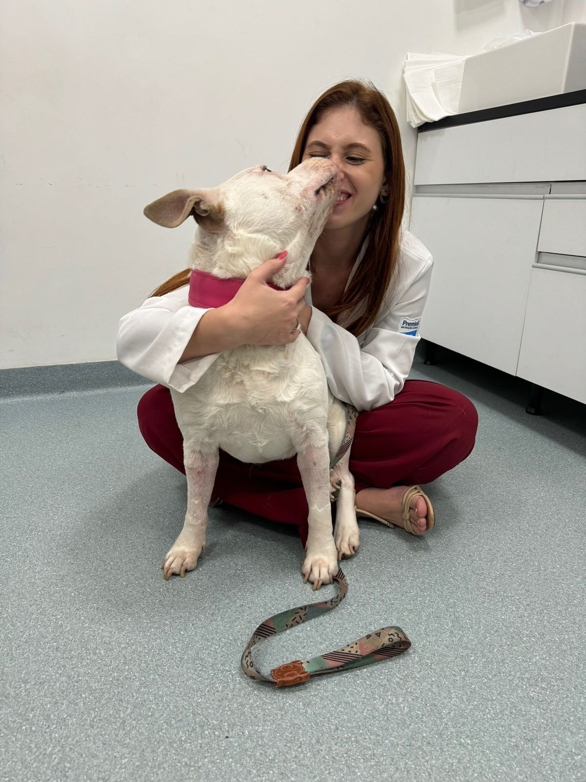 Dra. Jéssica Garofalo recebendo o carinho de um cão branco durante a consulta.