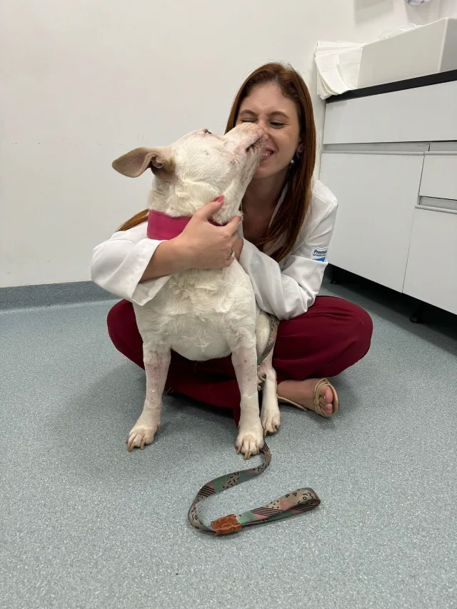 Dra. Jéssica Garofalo recebendo o carinho de um cão branco durante a consulta.
