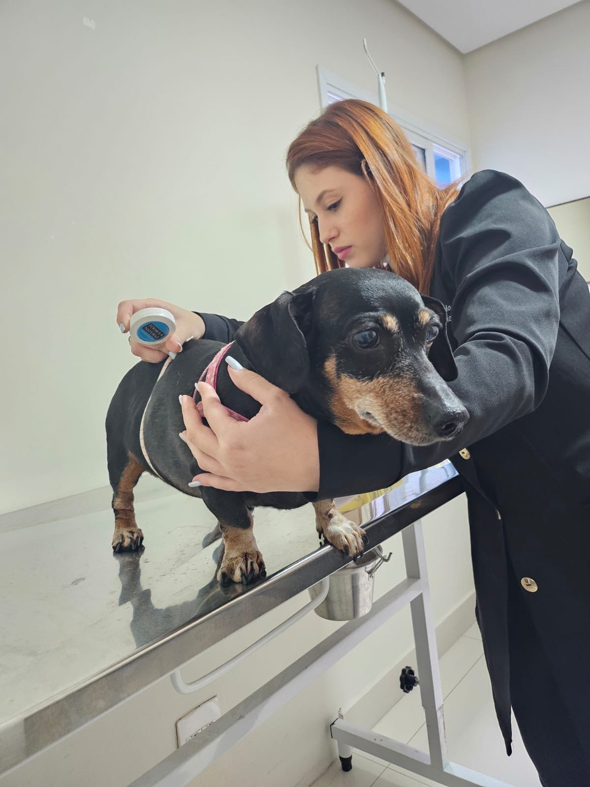 Dra. Jéssica Garofalo cuidando de um cão dachshund sobre a mesa de atendimento.